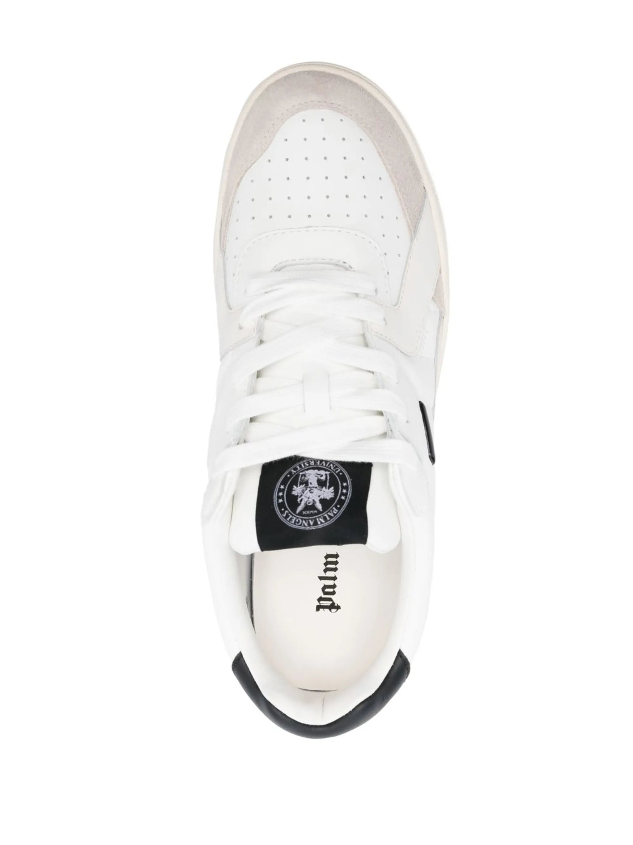 University Sneakers